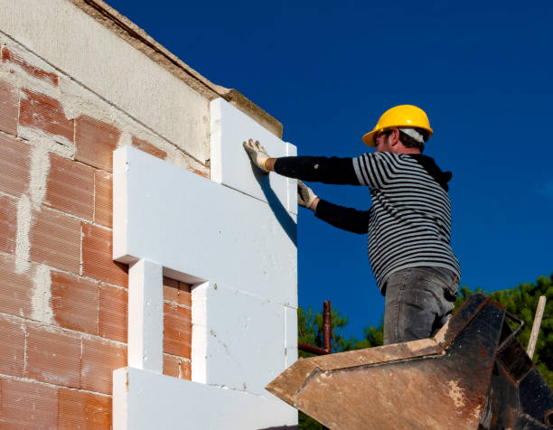 Best Geographic-Specific Insulation Services in Ann Arbor, MI