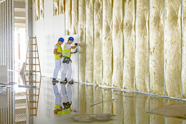 Best Fiberglass Insulation in Ann Arbor, MI